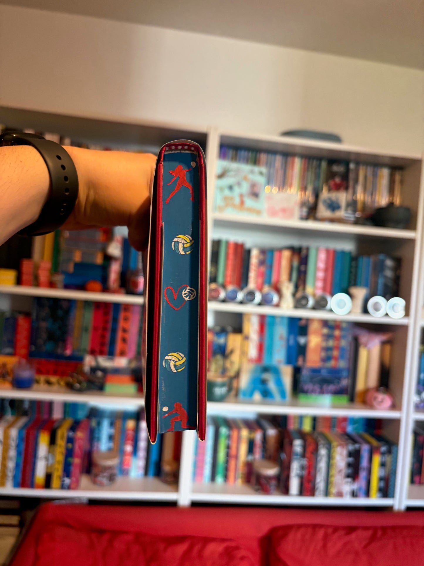 Livre jaspé — Smash or Pass de Birdie Schae